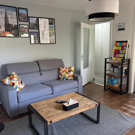 Strasbourg, Jules Verne ストラスブール